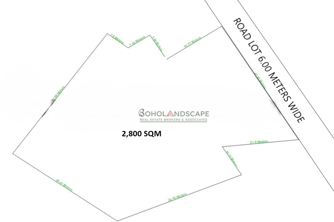 Land for Sale in Totolan, Dauis, Bohol – photo 2