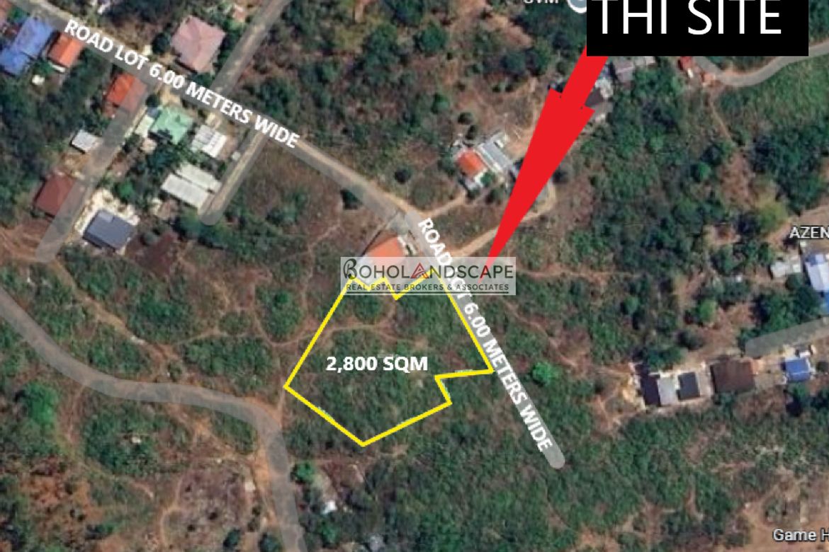 Land for Sale in Totolan, Dauis, Bohol – photo 4