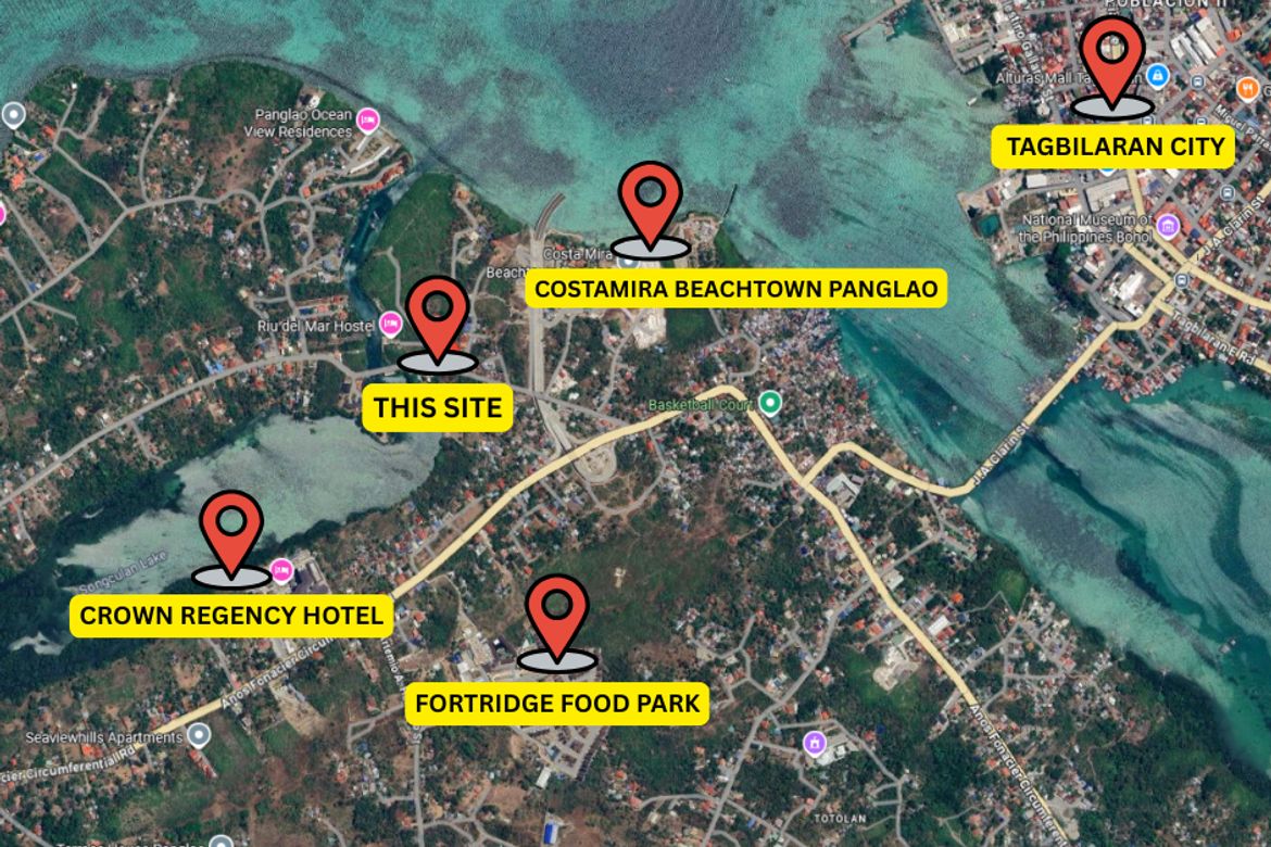 Land for Sale in Totolan, Dauis, Bohol – photo 4
