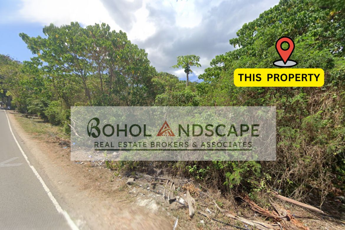 Land for Sale in Totolan, Dauis, Bohol – photo 7