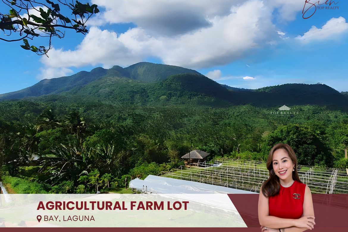 Land for Sale in Tranca, Bay, Laguna