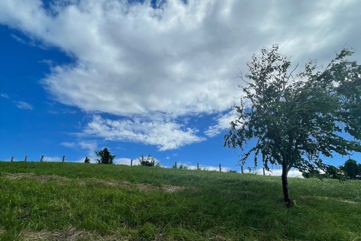 Land for Sale in Tranca, Talisay, Batangas