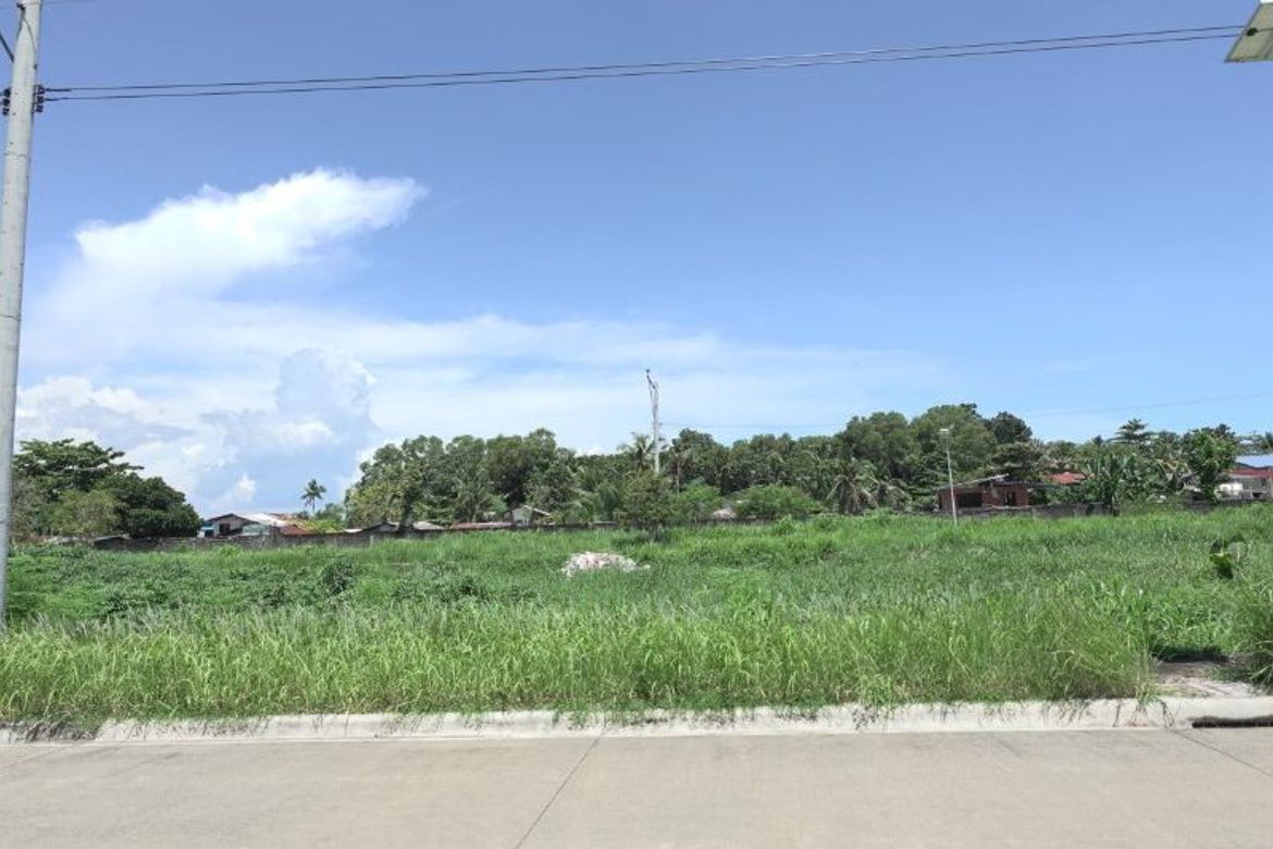 Land for Sale in Tres de Mayo, Digos, Davao del Sur – photo 2