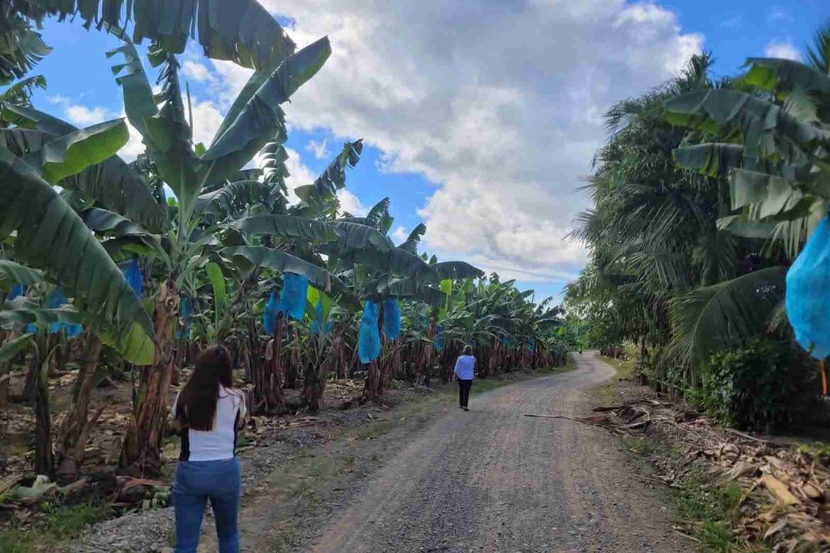 Land for Sale in Tres de Mayo, Digos, Davao del Sur