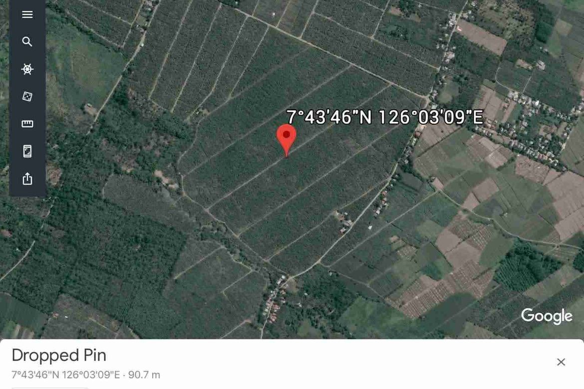 Land for Sale in Tres de Mayo, Digos, Davao del Sur – photo 3