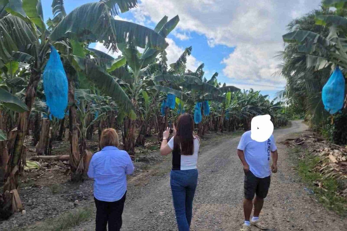 Land for Sale in Tres de Mayo, Digos, Davao del Sur – photo 7