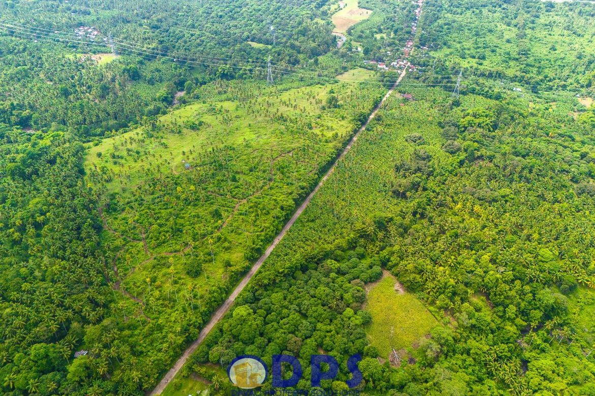 Land for Sale in Tuban, Santa Cruz, Davao del Sur – photo 2