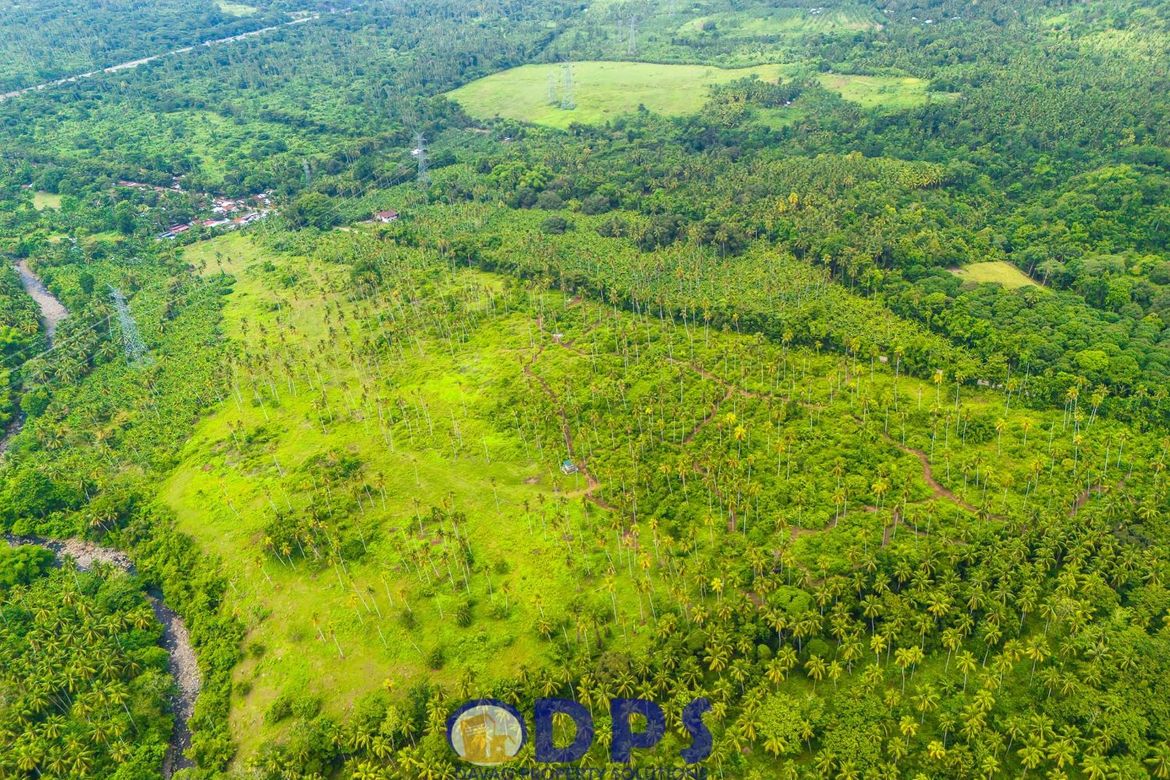 Land for Sale in Tuban, Santa Cruz, Davao del Sur – photo 4
