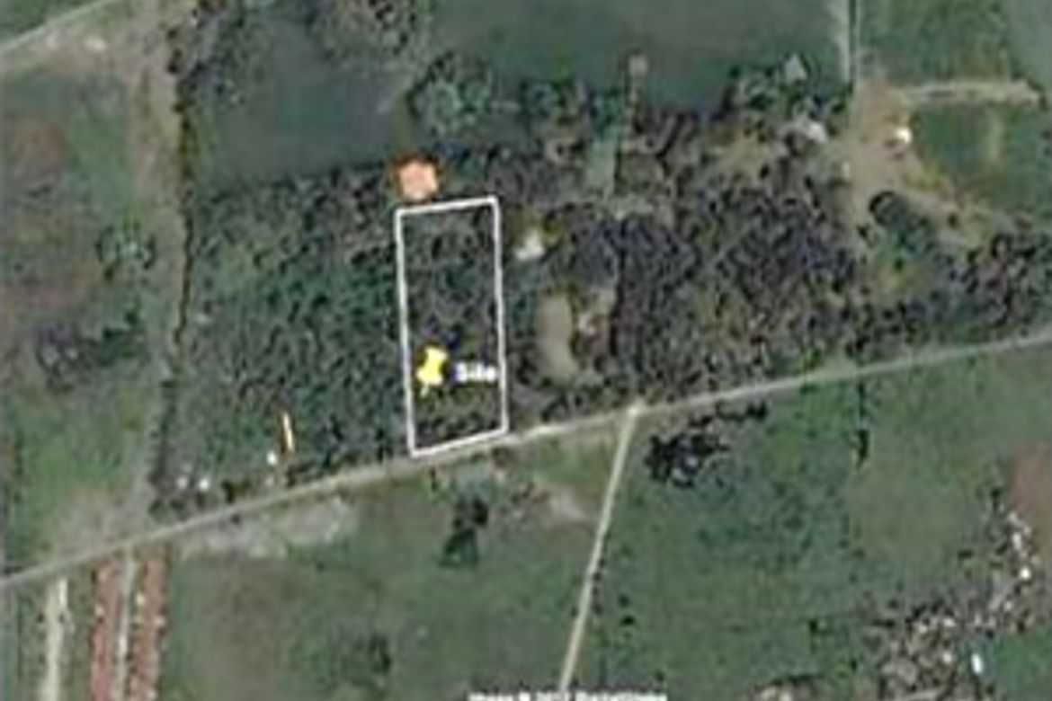 Land for Sale in Tubigan, Biñan, Laguna – photo 2