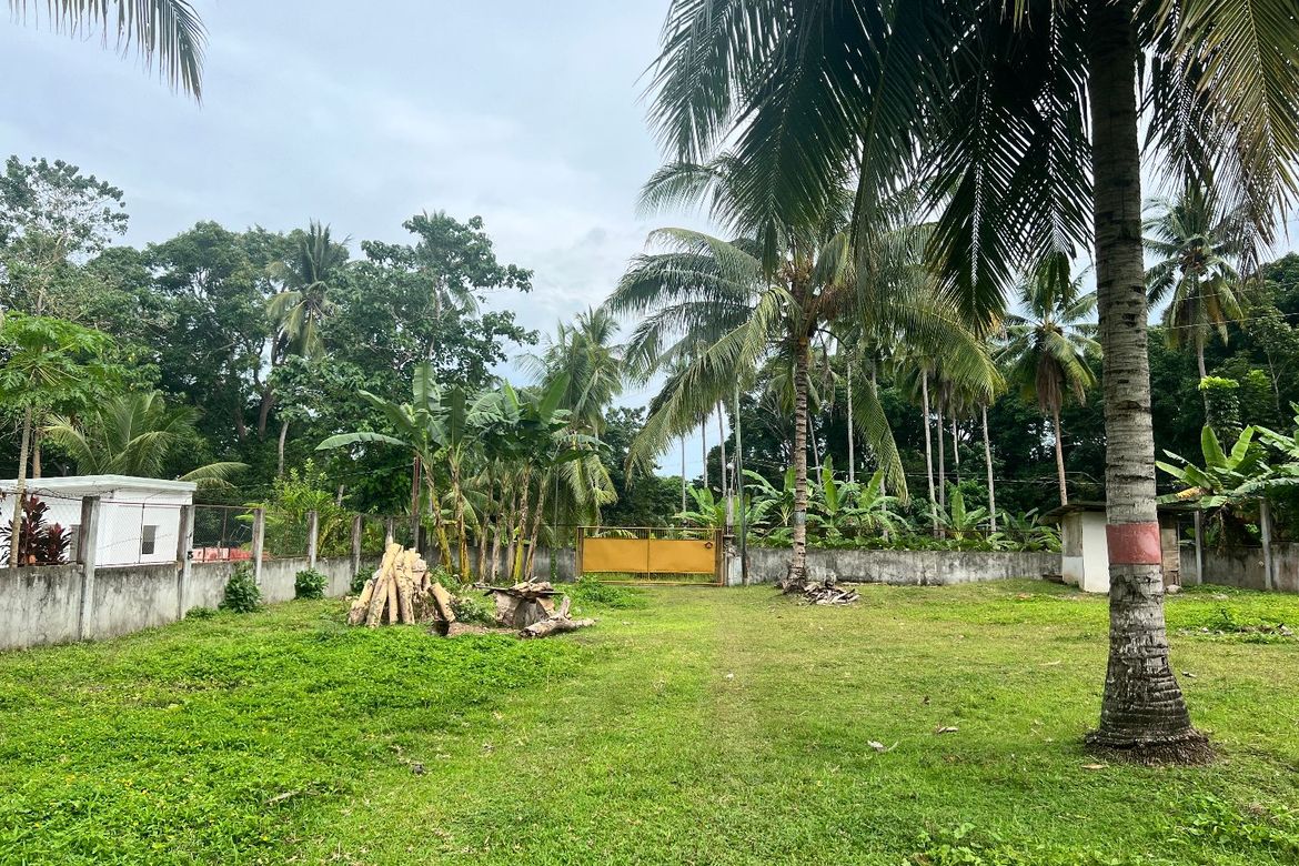 Land for Sale in Tubod, Bacong, Negros Oriental