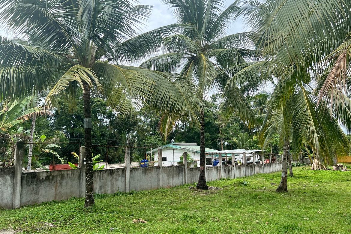 Land for Sale in Tubod, Bacong, Negros Oriental – photo 2