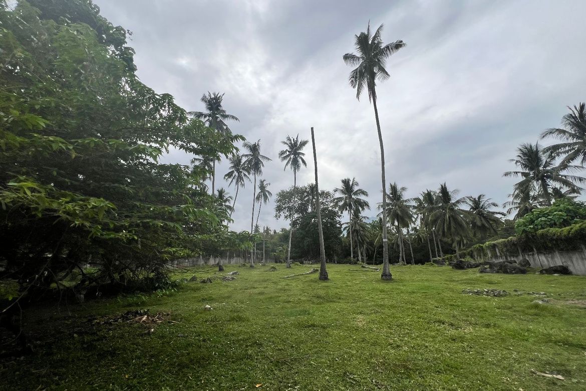 Land for Sale in Tubod, Bacong, Negros Oriental – photo 3