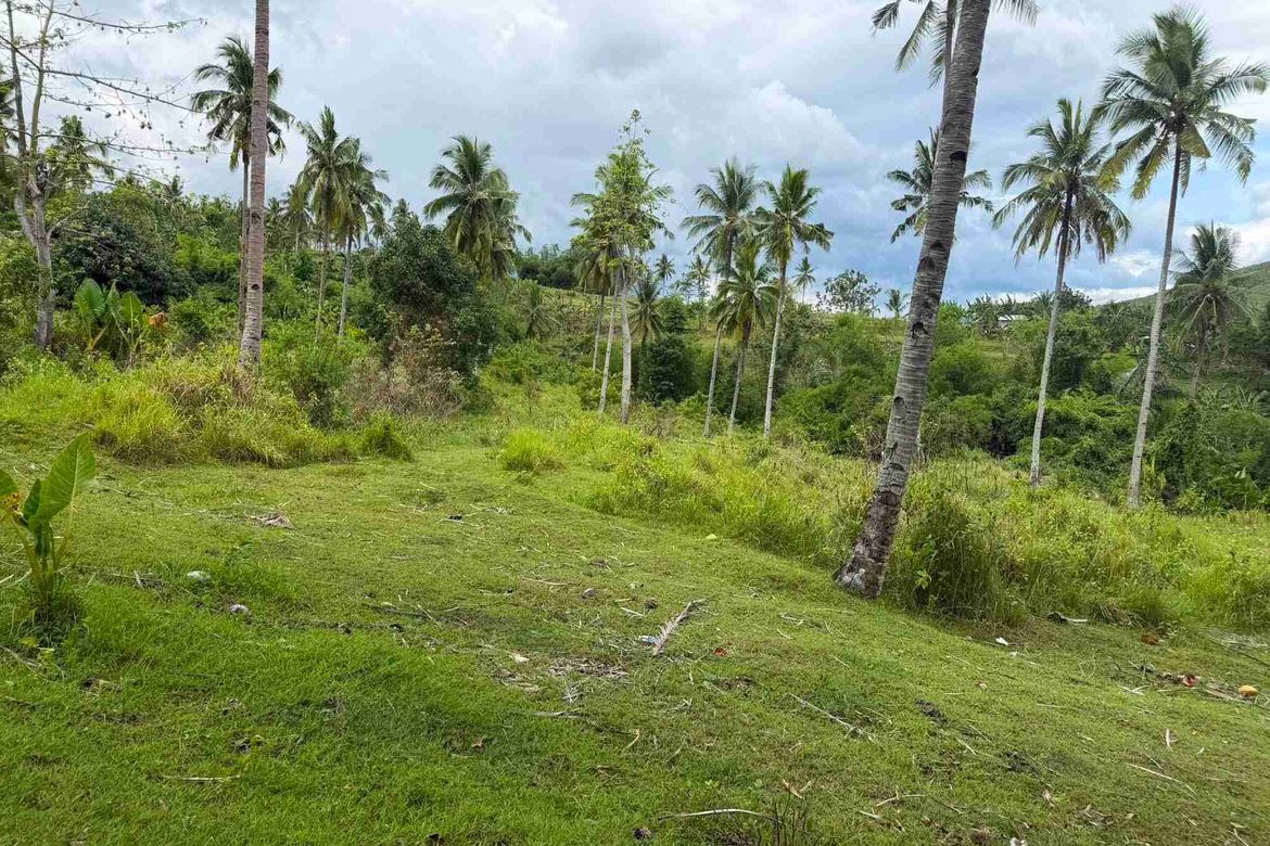 Land for Sale in Tubod-Dugoan, Dumanjug, Cebu – photo 2