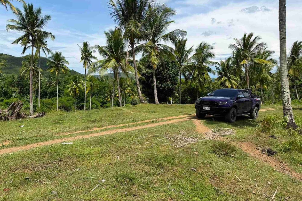 Land for Sale in Tubod-Dugoan, Dumanjug, Cebu – photo 4