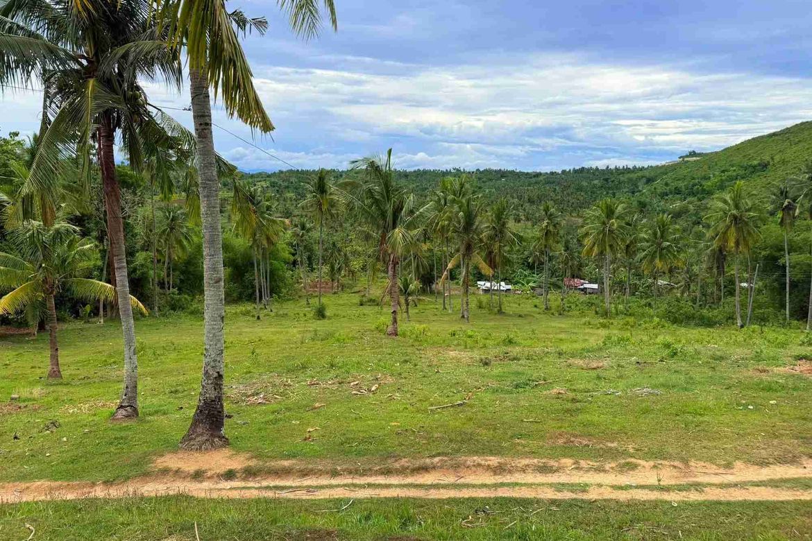 Land for Sale in Tubod-Dugoan, Dumanjug, Cebu – photo 5