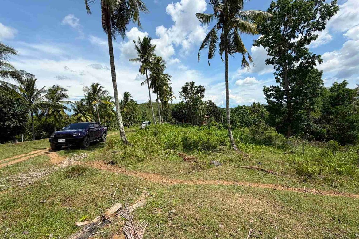 Land for Sale in Tubod-Dugoan, Dumanjug, Cebu – photo 6
