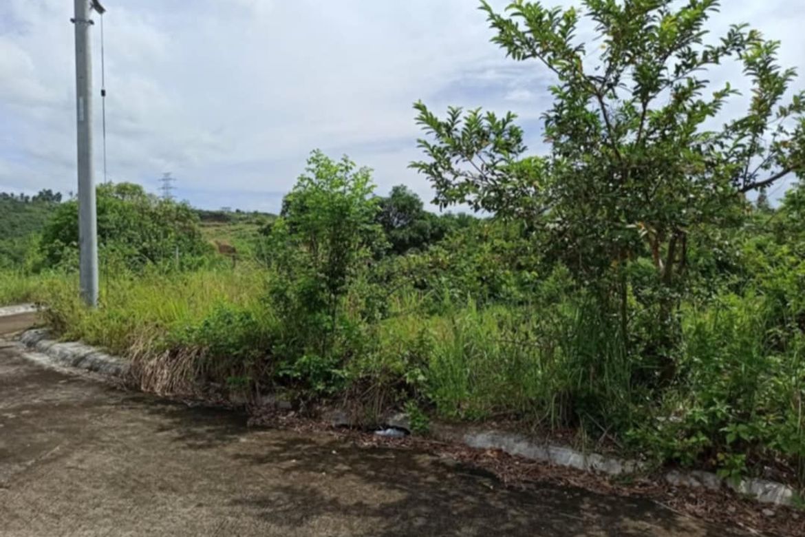 Land for Sale in Tubod, Minglanilla, Cebu – photo 5