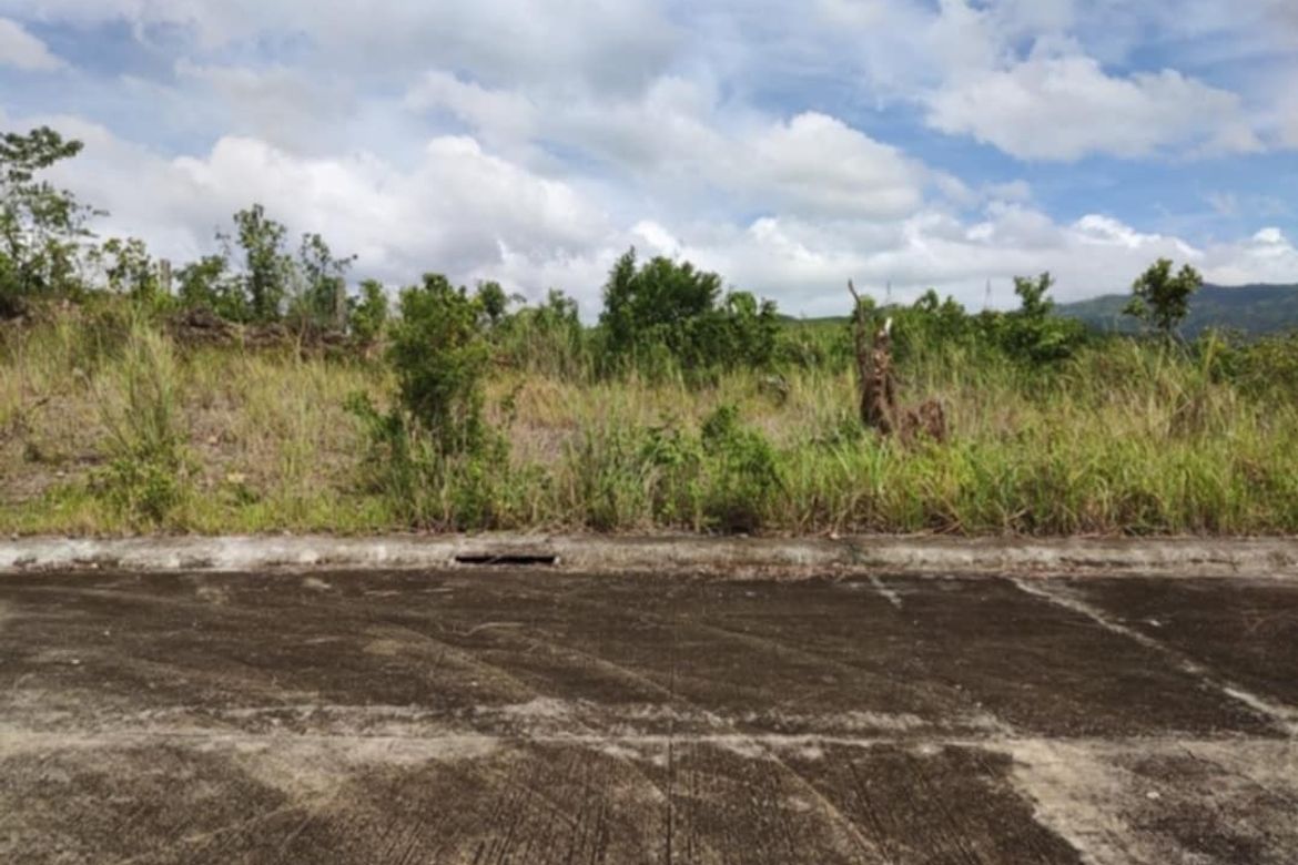 Land for Sale in Tubod, Minglanilla, Cebu – photo 8