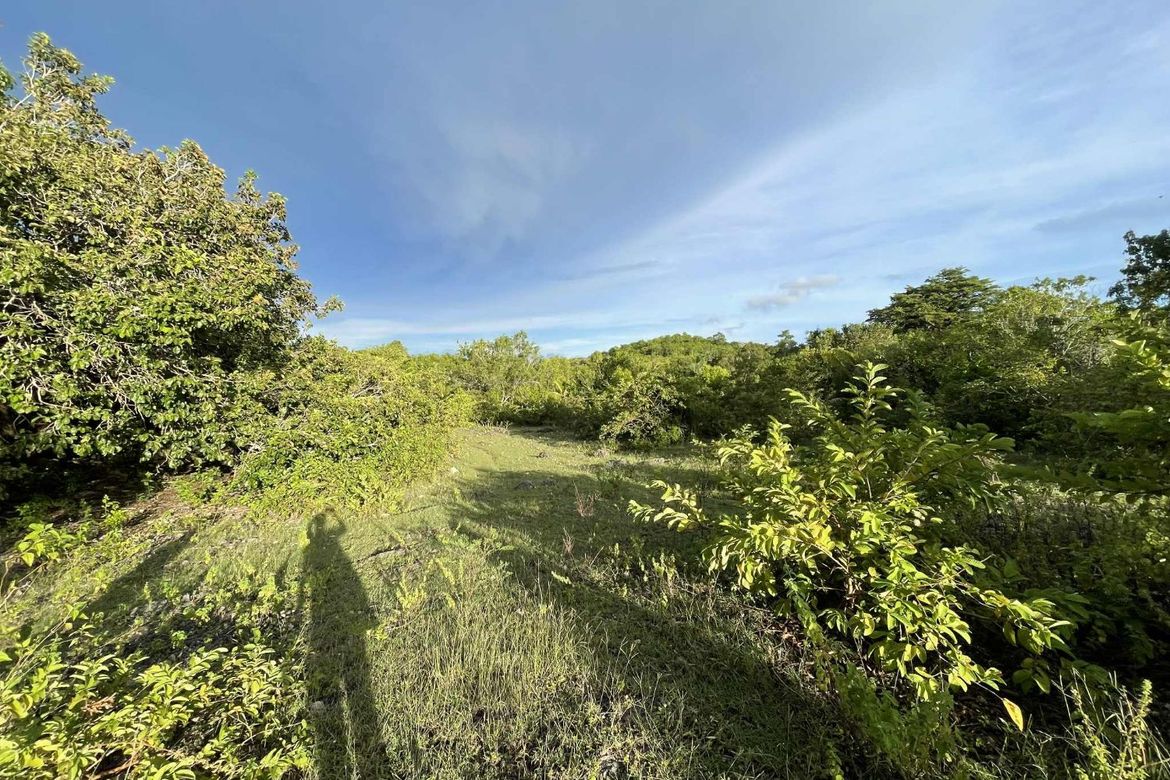 Land for Sale in Tubod, San Juan, Siquijor