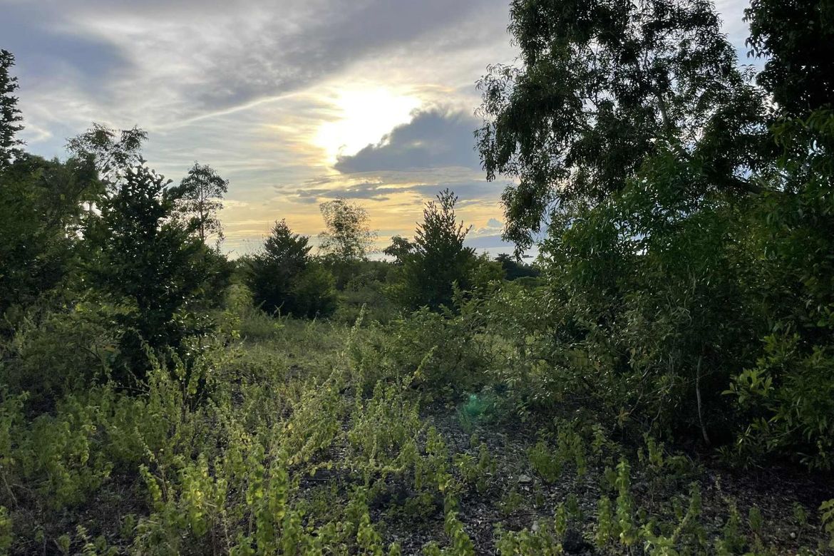 Land for Sale in Tubod, San Juan, Siquijor – photo 3