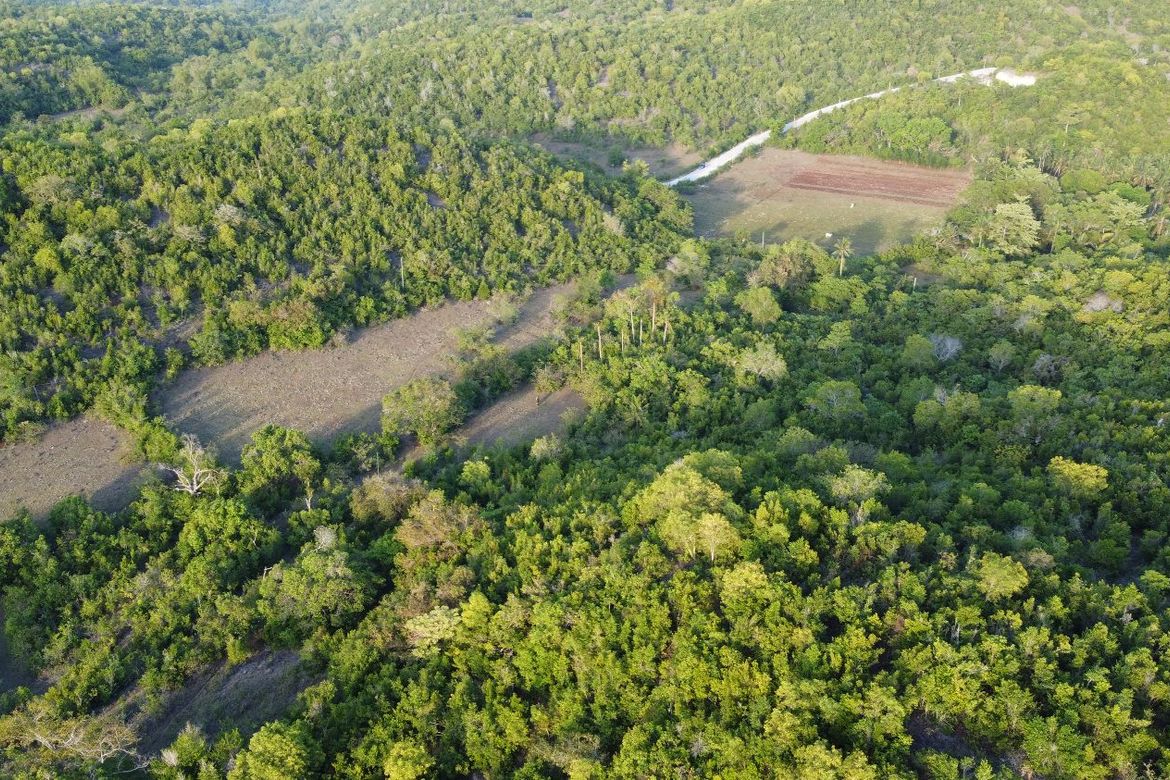 Land for Sale in Tubod, San Juan, Siquijor – photo 6