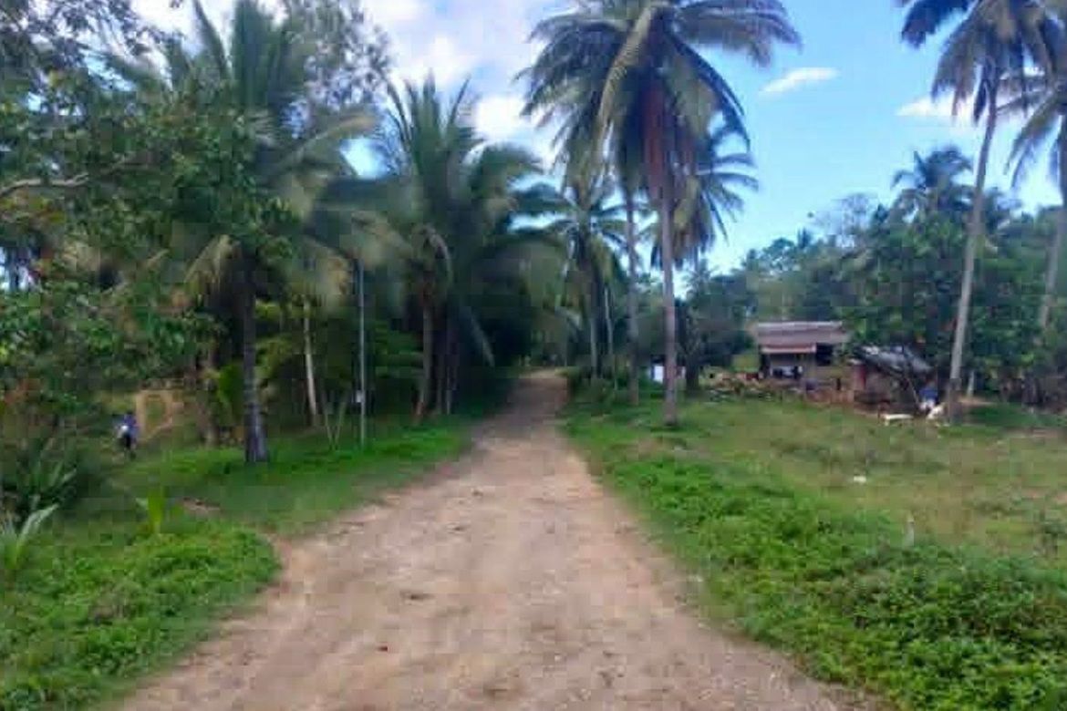 Land for Sale in Tubod, Toledo, Cebu – photo 3
