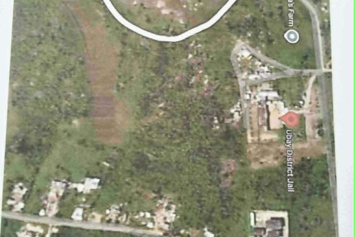 Land for Sale in Tuboran, Ubay, Bohol
