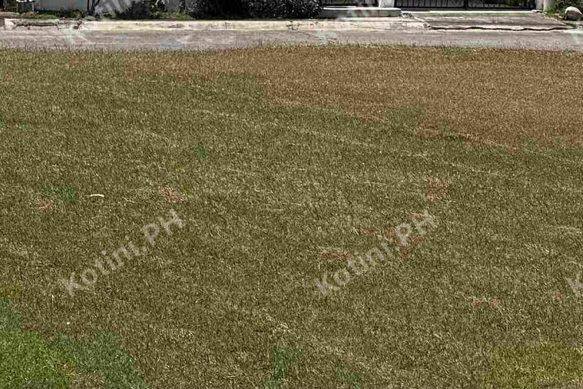 Land for Sale in Tubuan II, Silang, Cavite