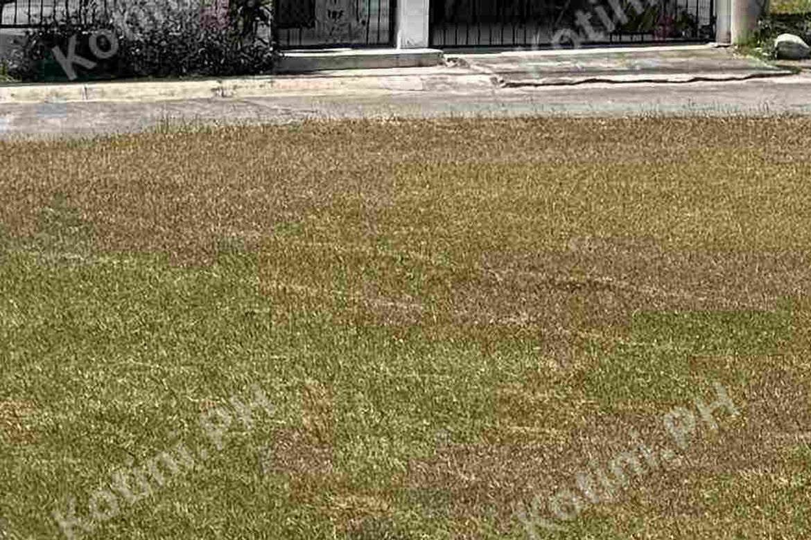 Land for Sale in Tubuan II, Silang, Cavite – photo 2