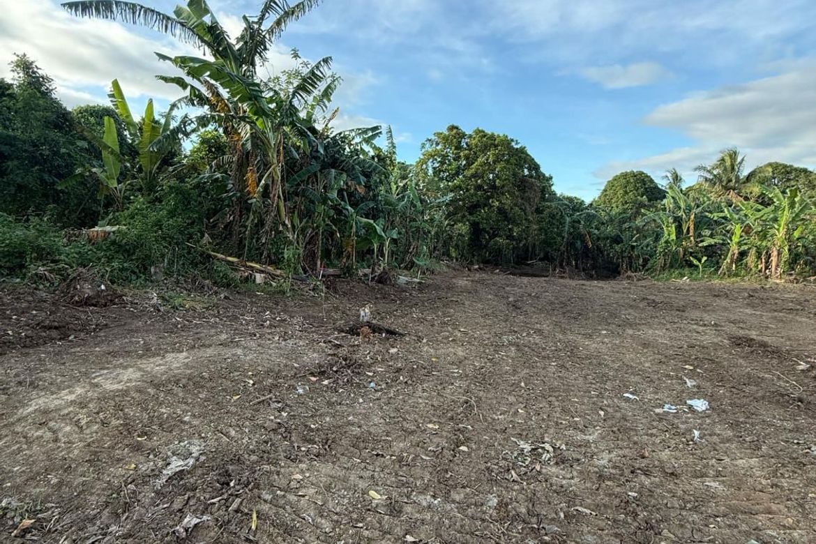 Land for Sale in Tubuan II, Silang, Cavite – photo 2