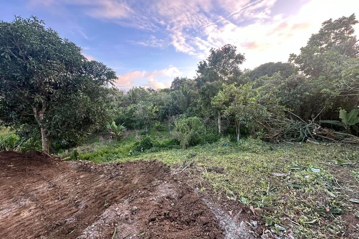 Land for Sale in Tubuan II, Silang, Cavite – photo 3