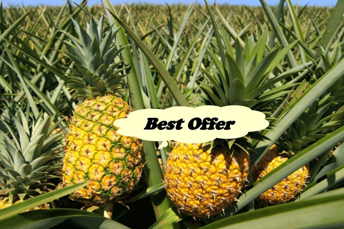 Land for Sale in Tubuan II, Silang, Cavite