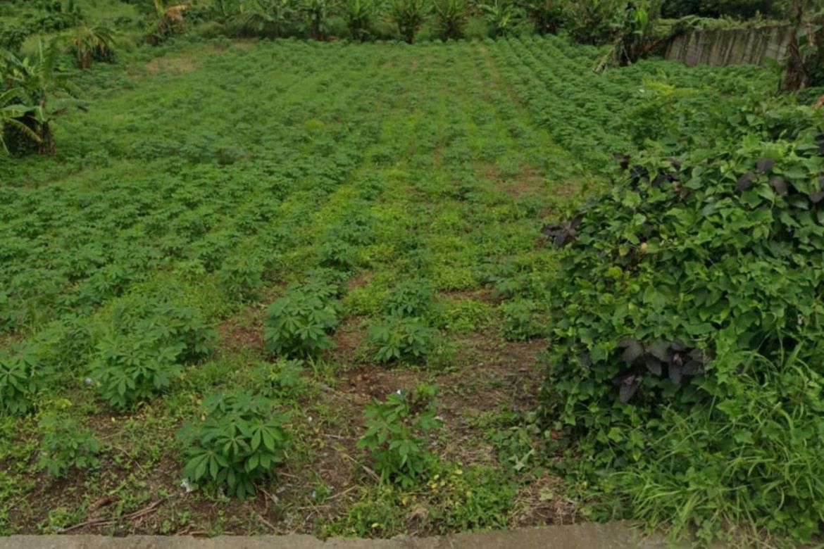 Land for Sale in Tubuan II, Silang, Cavite – photo 5
