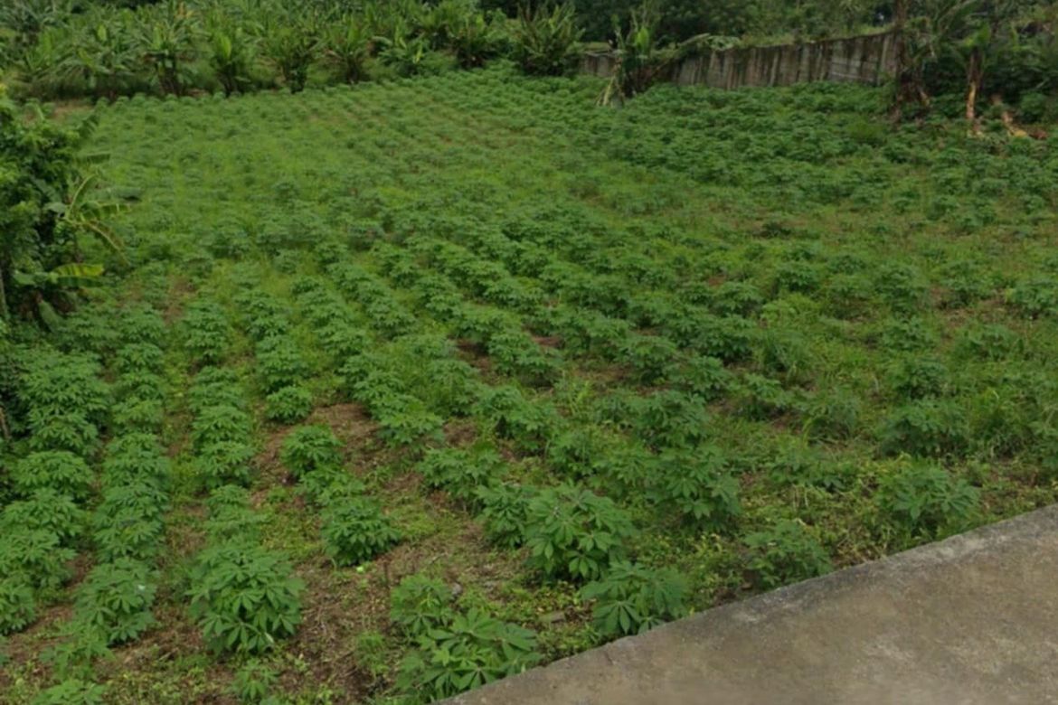 Land for Sale in Tubuan II, Silang, Cavite – photo 8