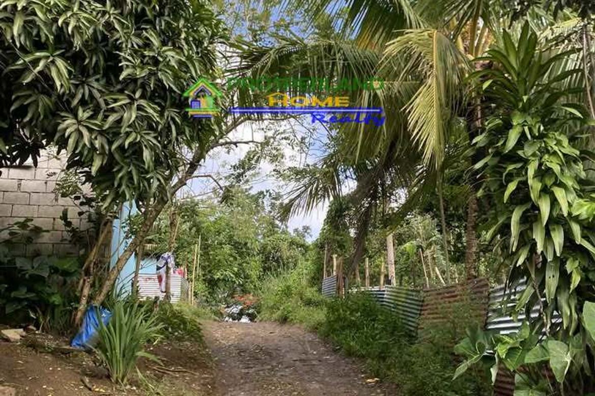 Land for Sale in Tubuan II, Silang, Cavite