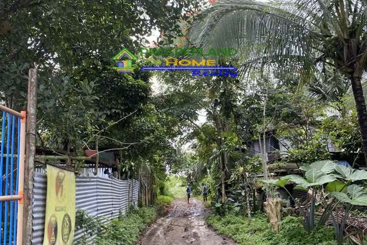 Land for Sale in Tubuan II, Silang, Cavite – photo 3
