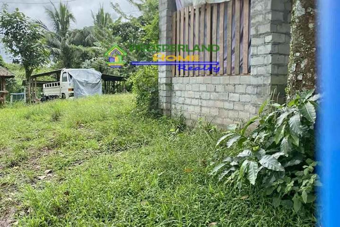 Land for Sale in Tubuan II, Silang, Cavite – photo 4