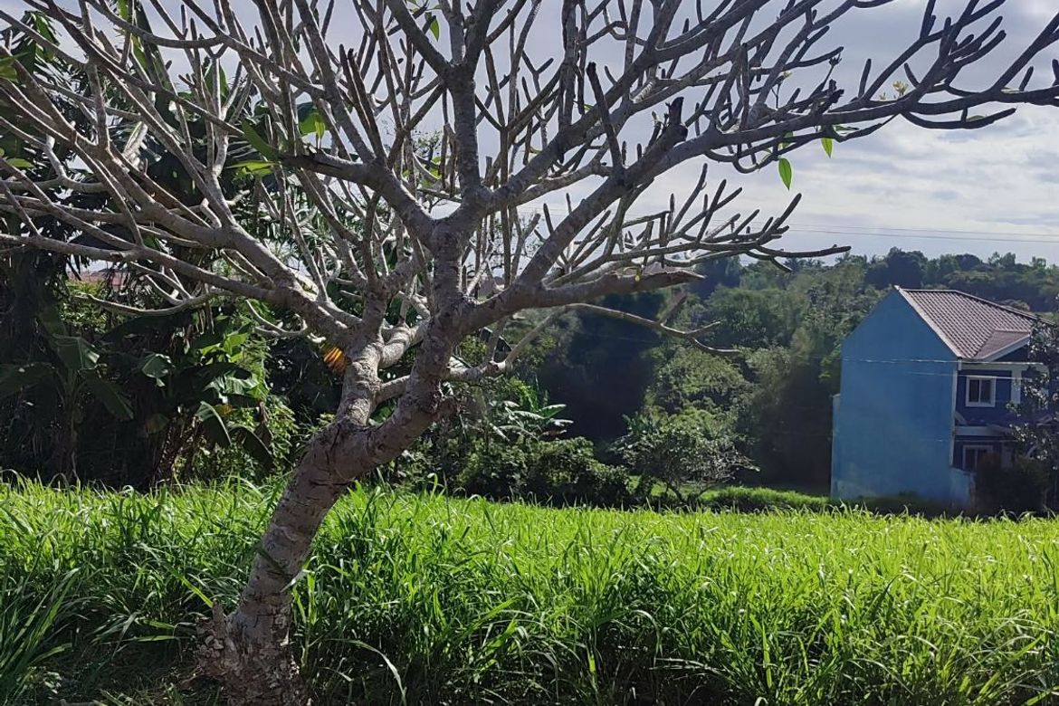 Land for Sale in Tubuan II, Silang, Cavite