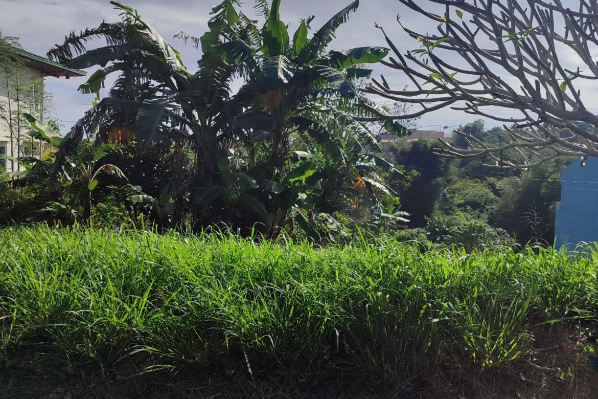 Land for Sale in Tubuan II, Silang, Cavite – photo 2