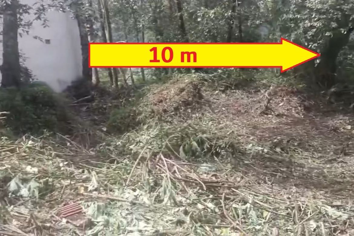 Land for Sale in Tuding, Itogon, Benguet – photo 3