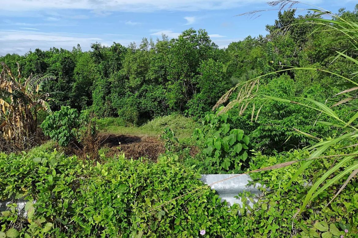 Land for Sale in Tuganay, Carmen, Davao del Norte – photo 4