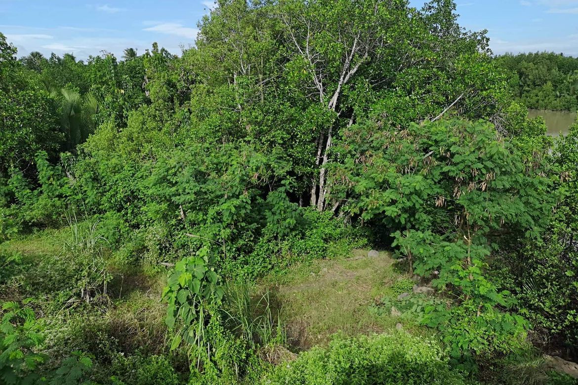 Land for Sale in Tuganay, Carmen, Davao del Norte – photo 8