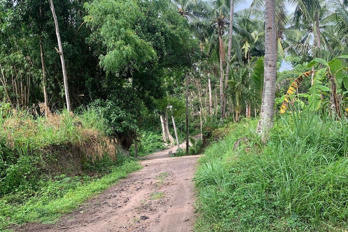 Land for Sale in Tugawe, Dauin, Negros Oriental – photo 2