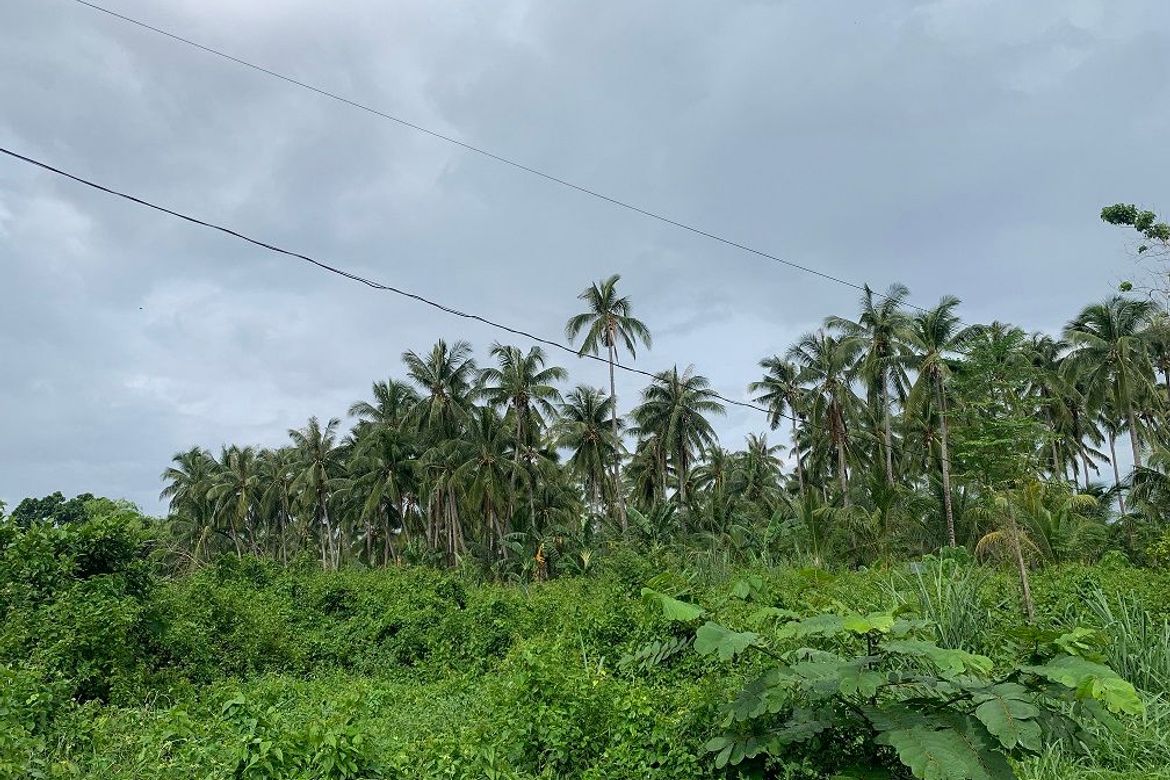 Land for Sale in Tugawe, Dauin, Negros Oriental – photo 4