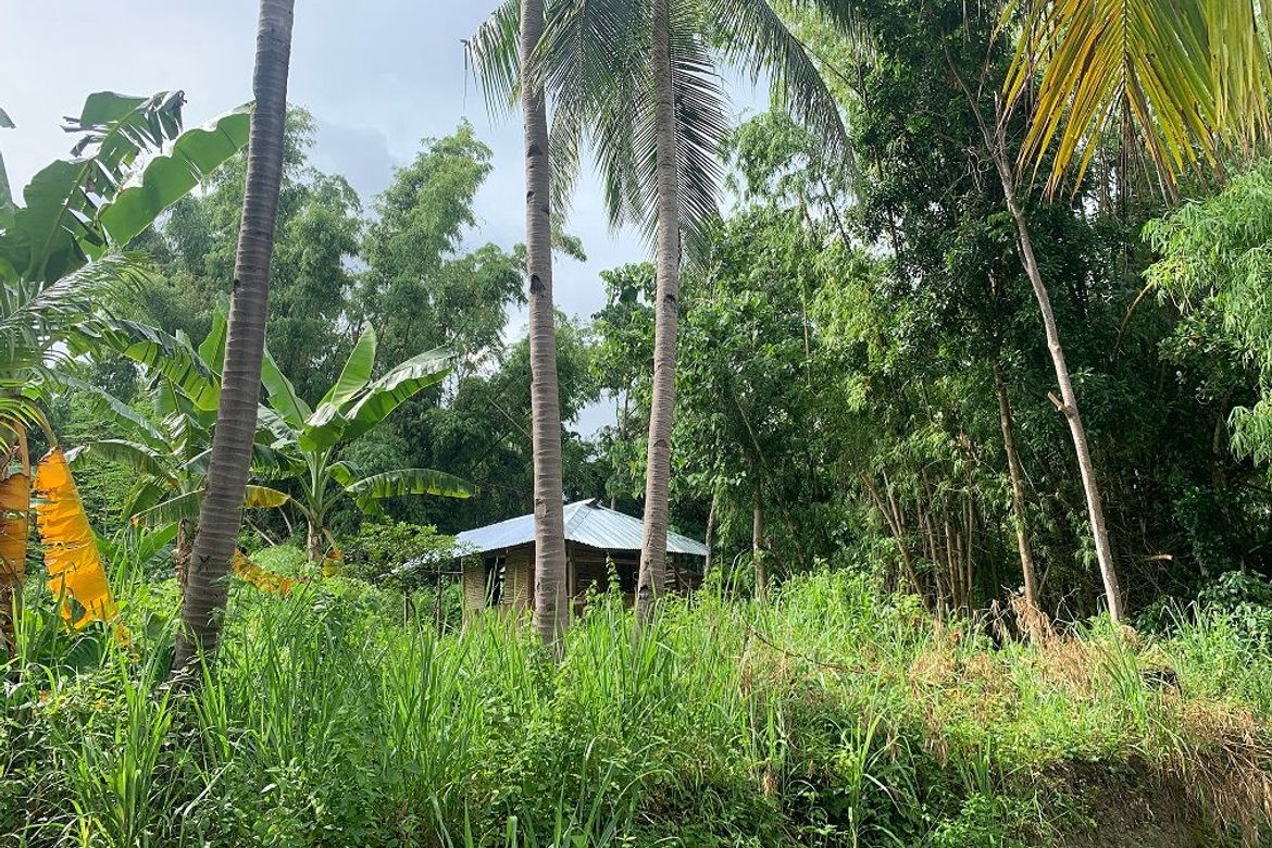 Land for Sale in Tugawe, Dauin, Negros Oriental – photo 5