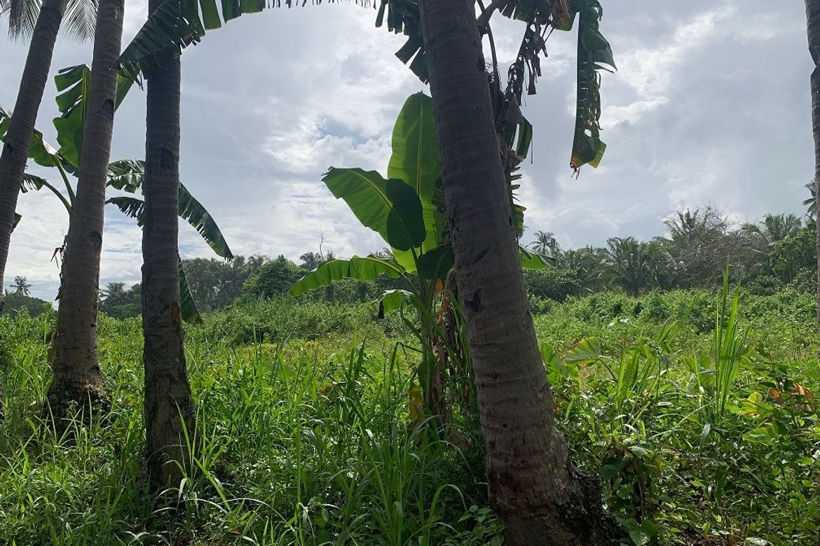 Land for Sale in Tugawe, Dauin, Negros Oriental – photo 6