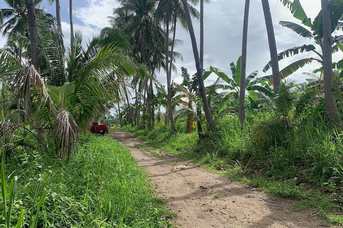Land for Sale in Tugawe, Dauin, Negros Oriental – photo 8