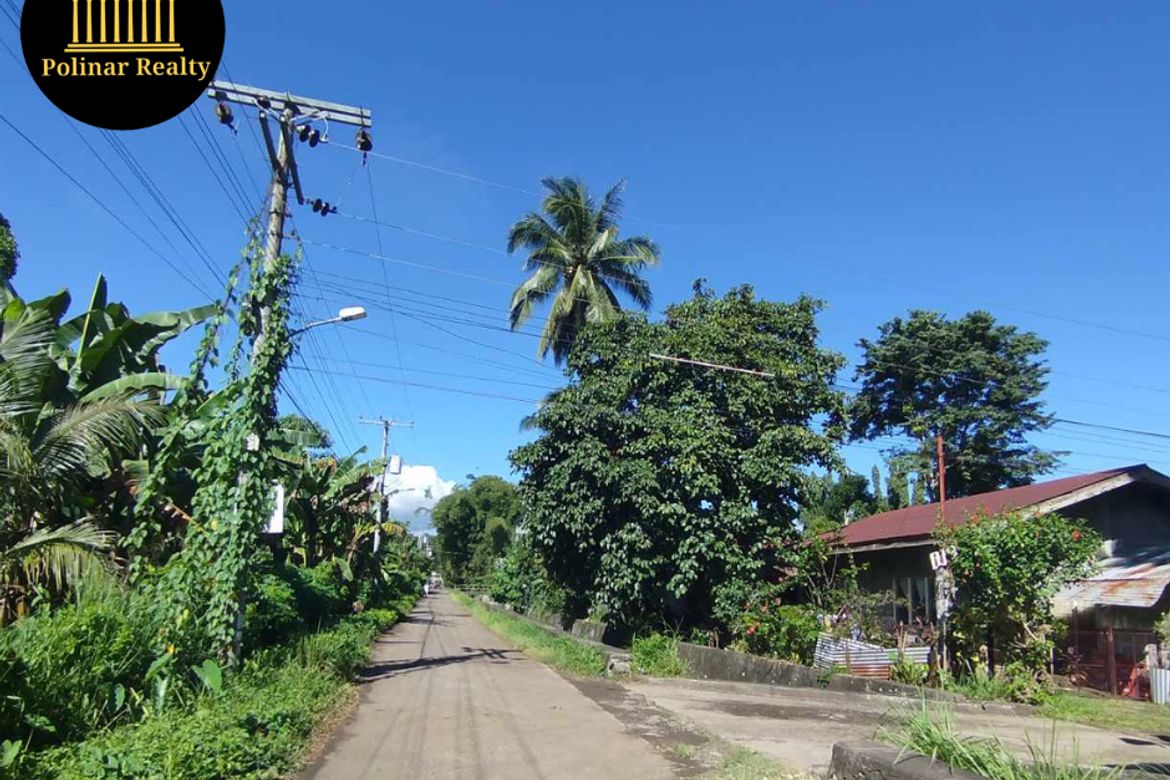 Land for Sale in Tugbok, Davao City, Davao del Sur – photo 5