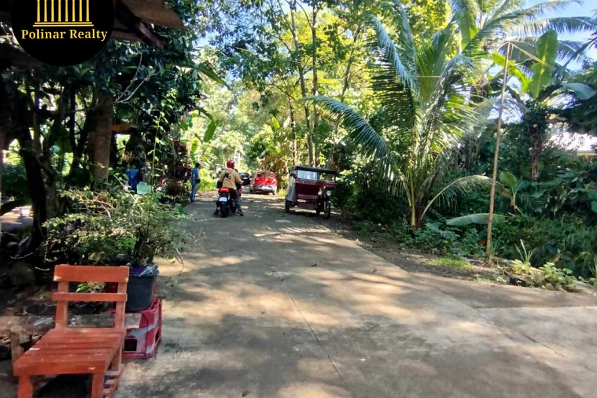 Land for Sale in Tugbok, Davao City, Davao del Sur – photo 7