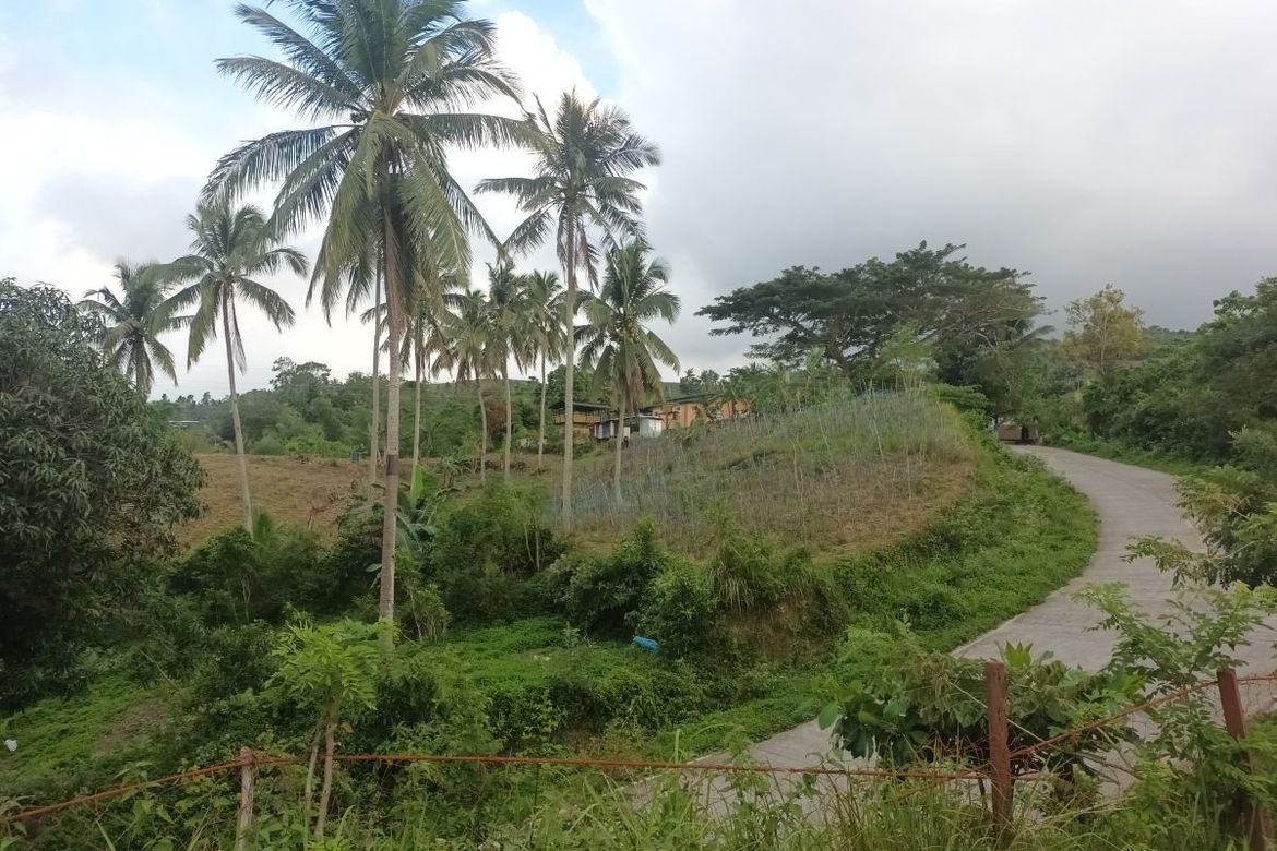 Land for Sale in Tulang, Argao, Cebu